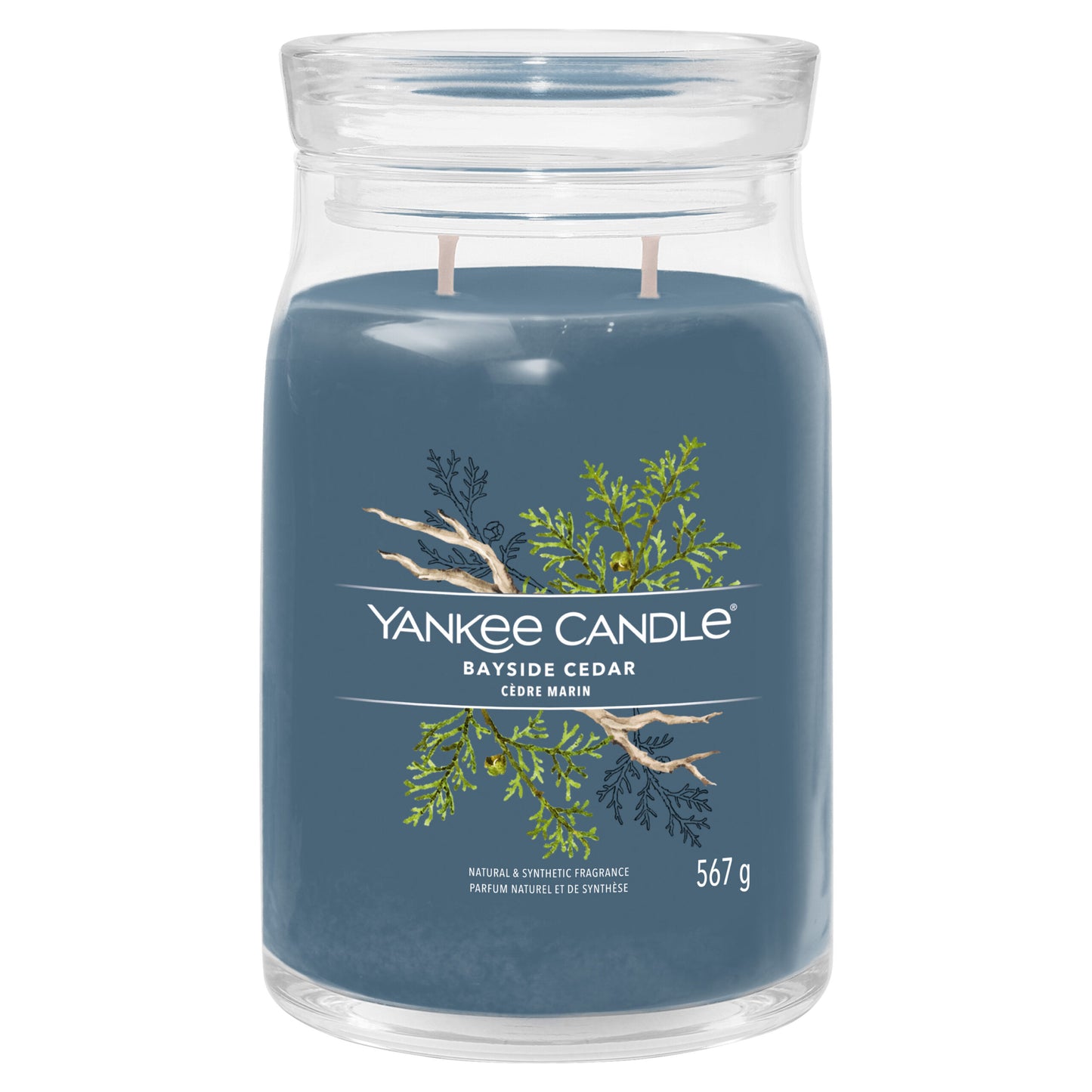 YANKEE CANDLE SIGNATURE COLLECTION LARGE JAR