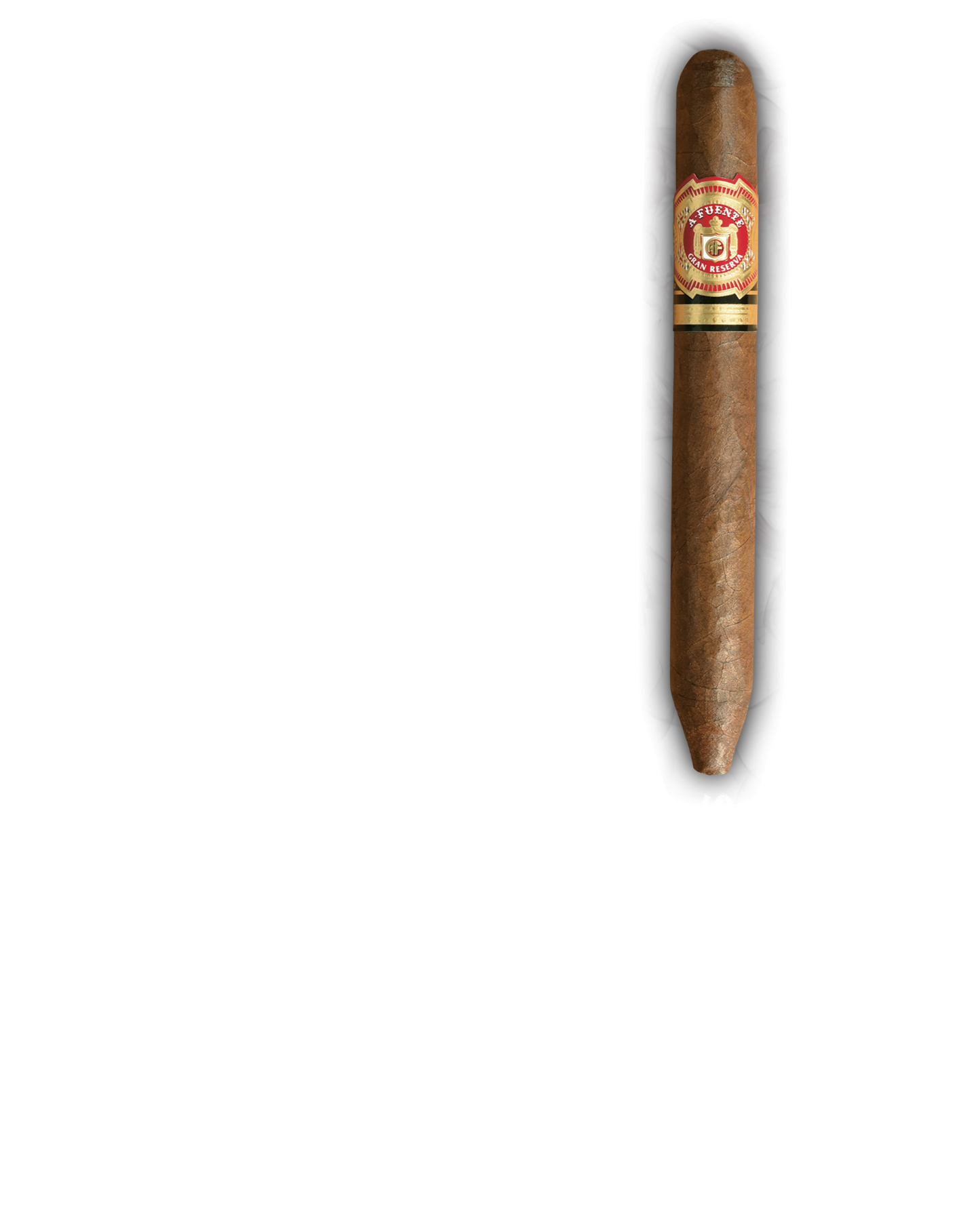 ARTURO FUENTE