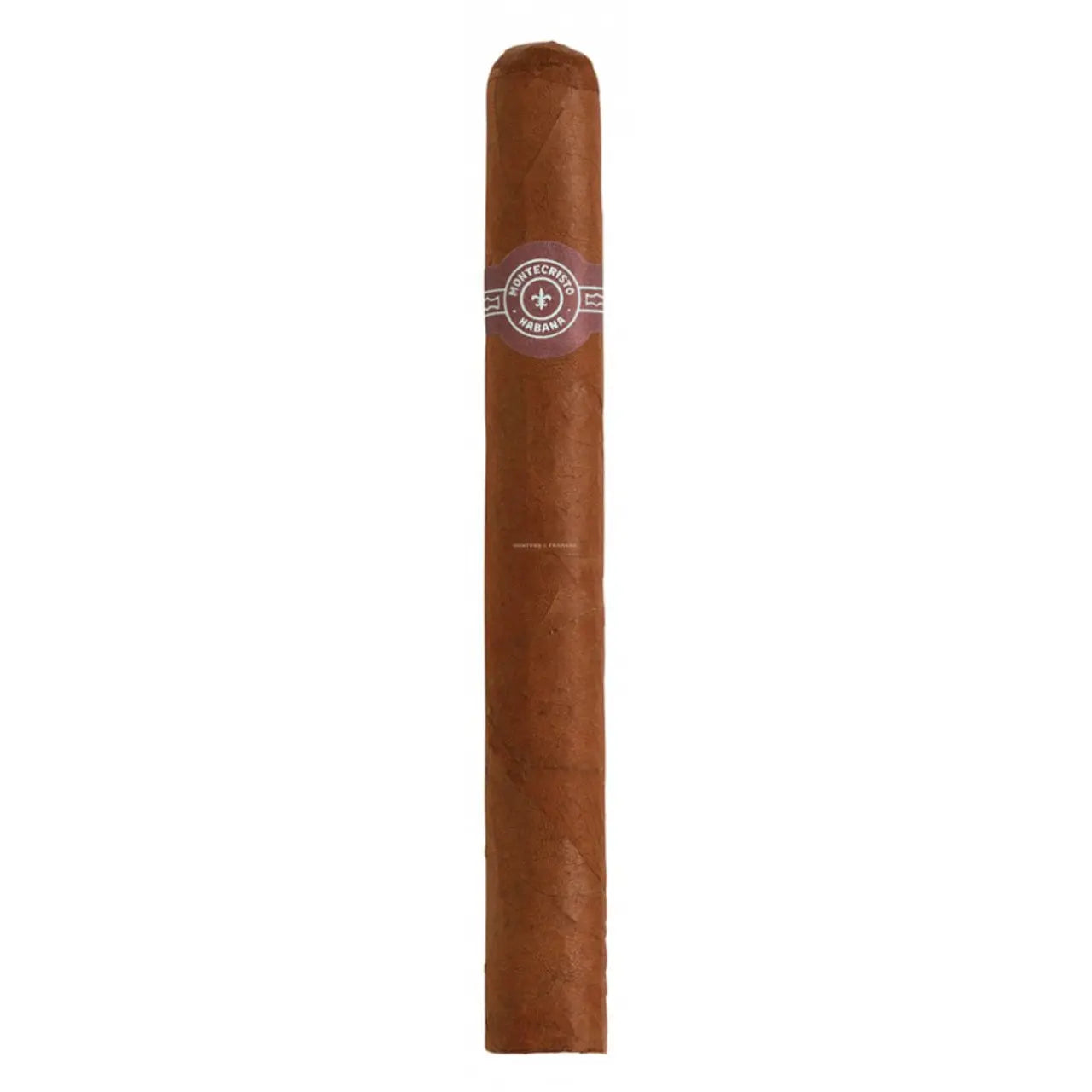 MONTECRISTO