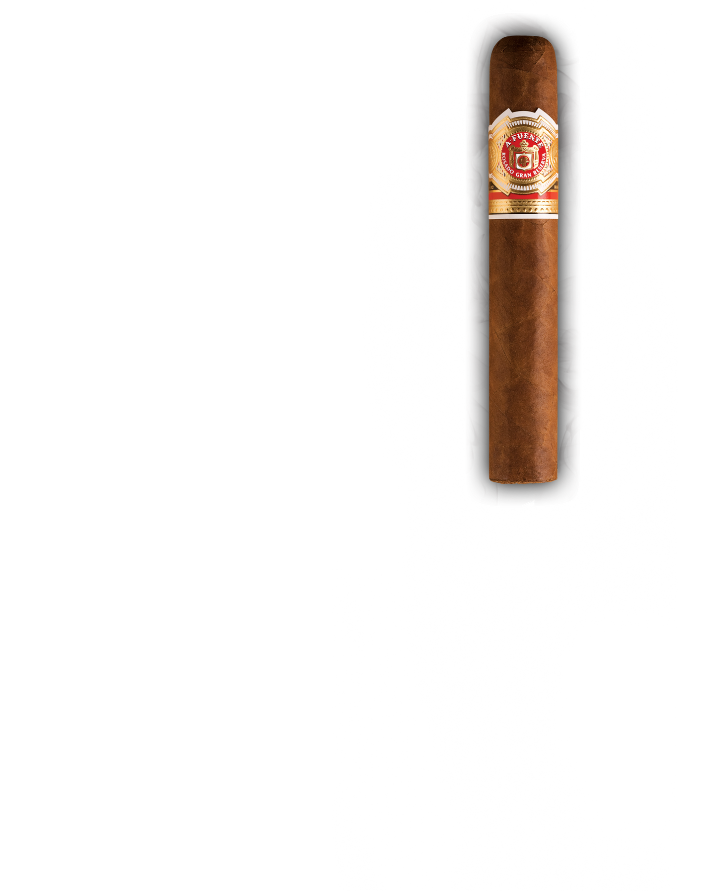 ARTURO FUENTE