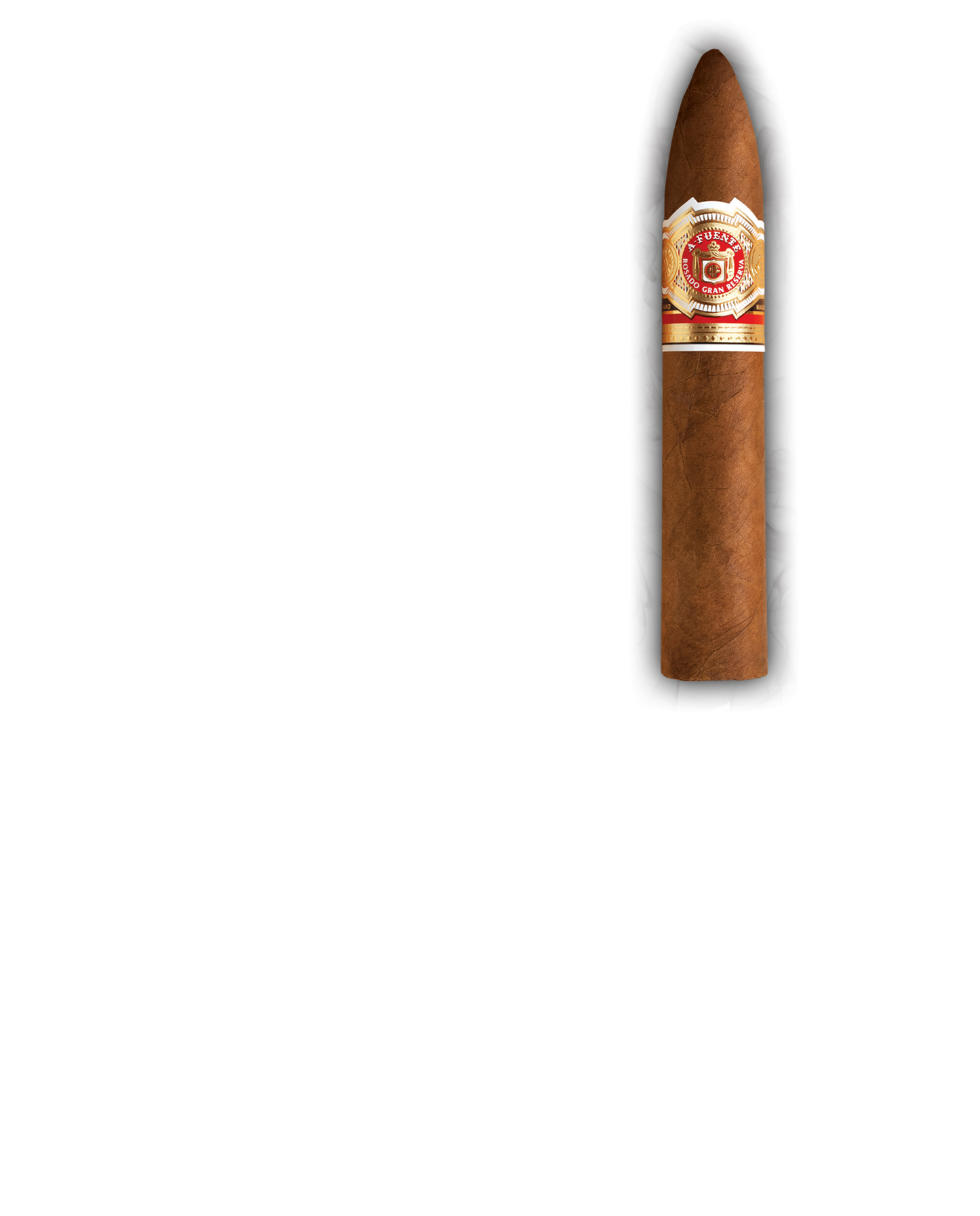 ARTURO FUENTE