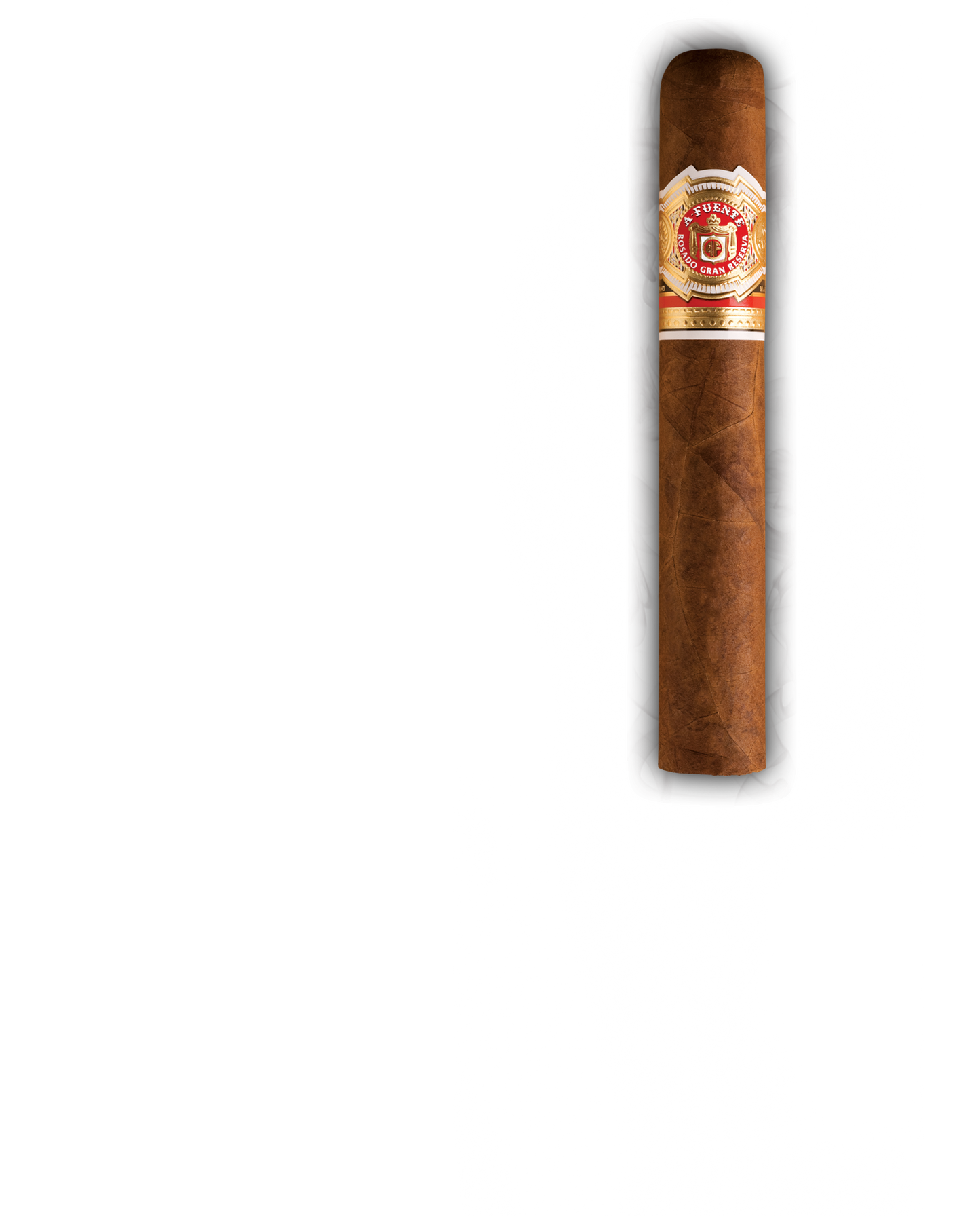 ARTURO FUENTE